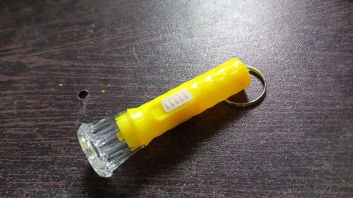 Small Plastic Torch for Kids, Plastic LED Flashlight Torch, Beautiful Attractive Good Gift Item, Pocket Torch for Kids (1 Pc) Your Brand