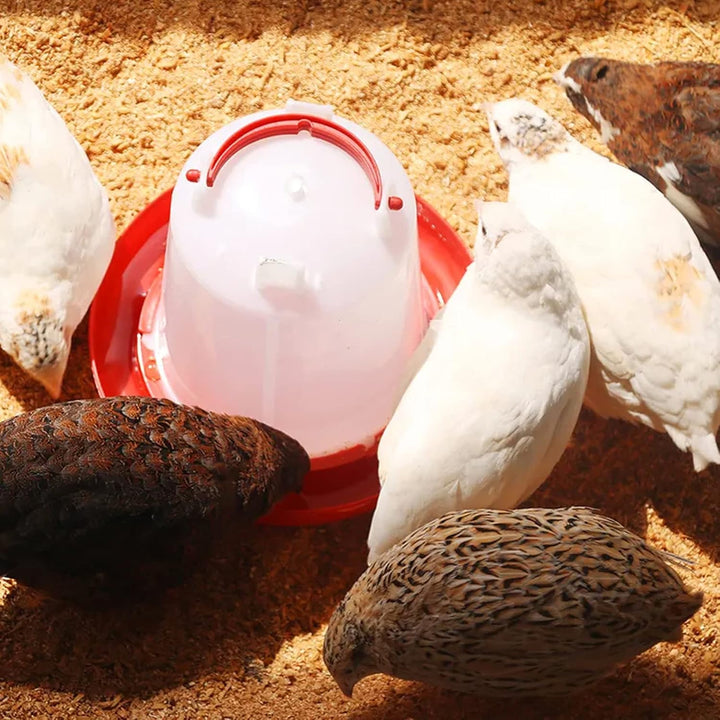 Automatic Chicken Drinker Chicken Feeder with Humanized Handle your brand