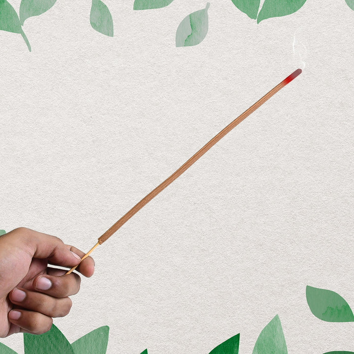 Premium Incense Sticks / Agarbatti for Everyday Use for Home, Office, Meditation and Pooja for Puja, &amp; Other Festive Occassions, Agarbatti (10 Pcs Sticks / 40 Cm / Stand not included / Mix Flavor) - TezCart