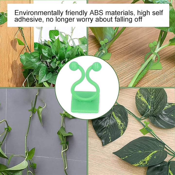 Plant Climbing Wall Fixture Clip Self-Adhesive Hook (100 Pcs Set) - TezCart