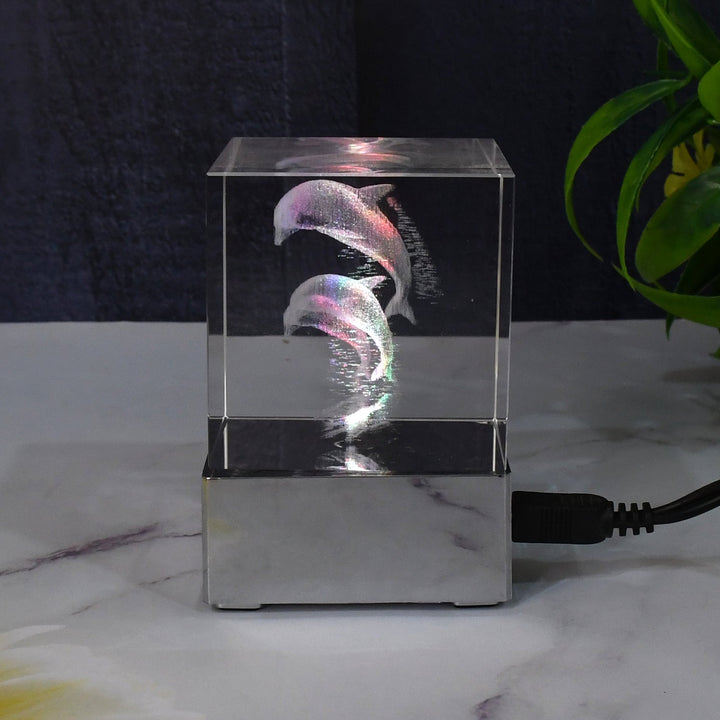DolphinDream Glow
