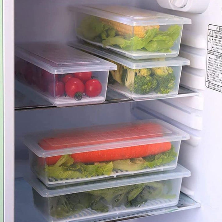 Vegetables & Fruits Freezer Storage Container (PACK OF 6PC 1500ML) - TezCart