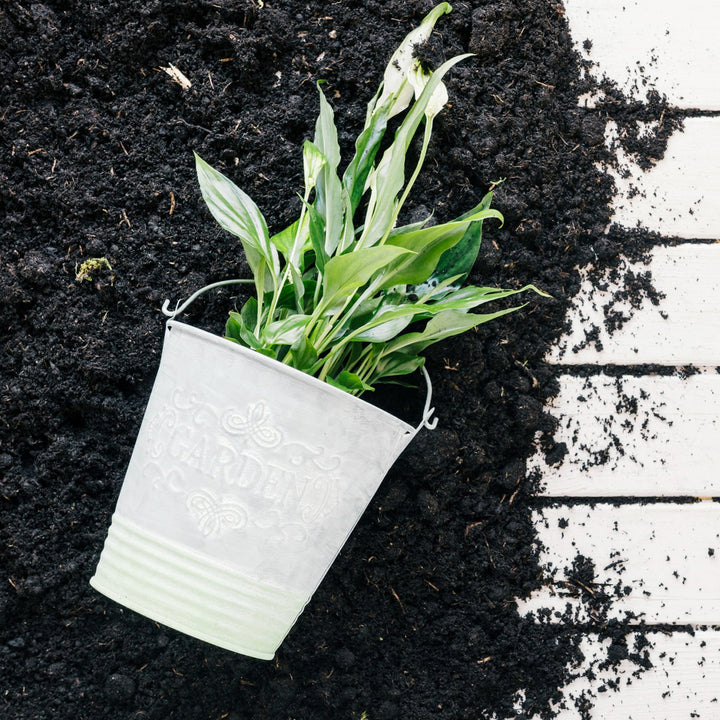 Organic Vermicompost Black Soil for Plants Health Manure (1 KG Approx) - TezCart
