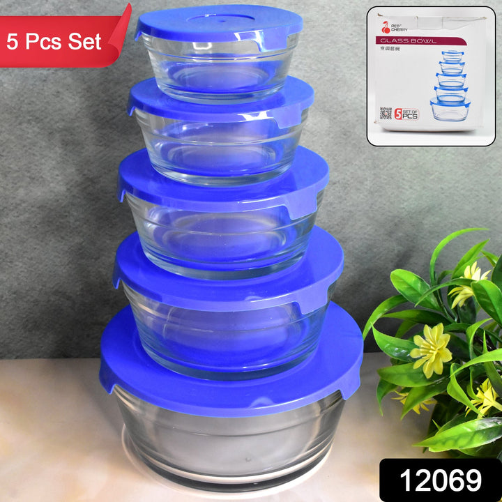Modern Glass Bowl Set Mixing / Storage Bowls with Lids (5 Pcs Set) - TezCart