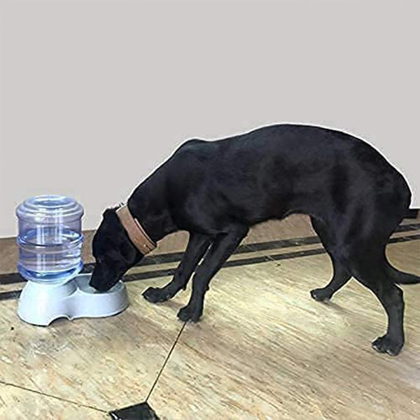 Automatic Pet Water Dispenser, Food Storage Bottle Your Brand