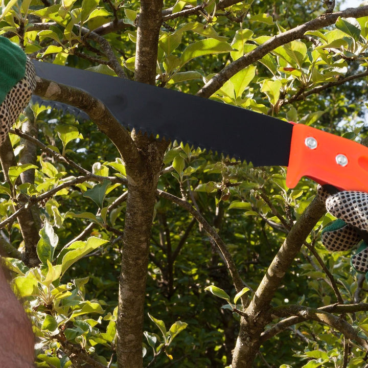 Hand Pruning Saw for Tree Branch Cutter (1 Pc) Your Brand