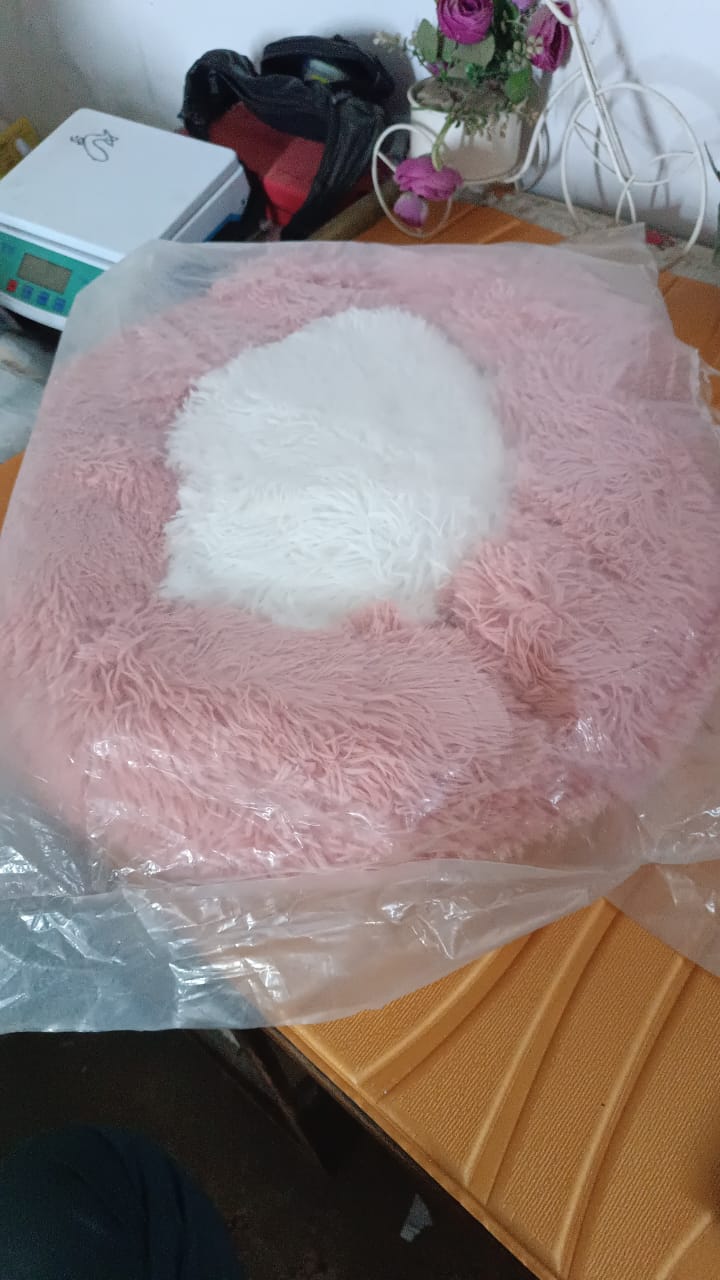 Indoor Dog Bed for Cats (33×33×10 Cm / Small) - TezCart