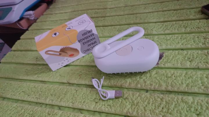 Electric Spray Handle Massage Brush, Hair Removal Brush Steam (1 Pc) - TezCart