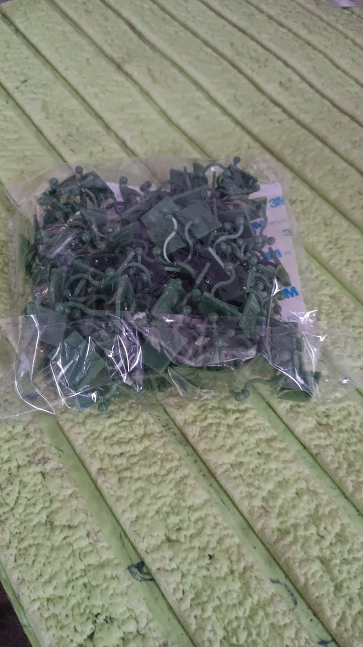 Plant Climbing Wall Fixture Clip Self-Adhesive Hook (100 Pcs Set) - TezCart